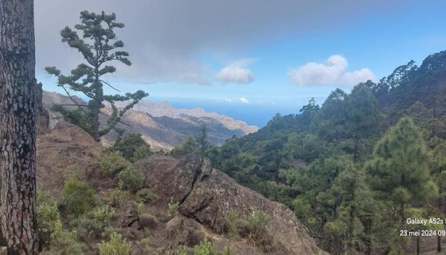 Gran Canaria vrienden